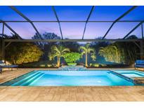 Stunning screened swimming pool with a raised spa and lush landscaping at 4611 Trento Pl, Bradenton, FL 34211