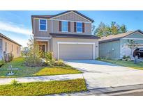 Two-story house with neutral siding, two-car garage, and landscaped yard at 10611 Ladybug Cv, Parrish, FL 34219