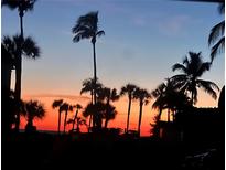 Stunning sunset view over palm trees, creating a picturesque tropical scene at 2100 Benjamin Franklin Dr # 108, Sarasota, FL 34236