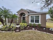 Single-story home with landscaped front yard, palm trees and a brown door at 10605 58Th E St, Parrish, FL 34219