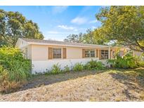 Ranch-style home with a light-colored exterior, landscaping, and a spacious yard at 9066 Oneal Ave, New Port Richey, FL 34654
