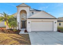 Two-story house with a neutral color palette, landscaping, and a two-car garage at 14146 Cattle Egret Pl, Bradenton, FL 34202
