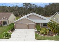 Two-story house with a three-car garage and landscaped yard at 3911 Douglas Hill Pl, Parrish, FL 34219