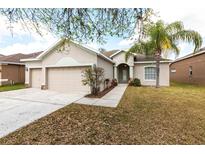 Charming single-story home featuring a well-manicured lawn and attached two-car garage at 11715 Summer Springs Dr, Riverview, FL 33579