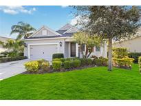 Beautiful one-story home with a landscaped lawn and attached garage at 10931 Blue Magnolia Ln, Parrish, FL 34219