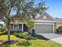 One-story home with gray siding, landscaping, and a two-car garage at 12310 Halfmoon Lake Ter, Bradenton, FL 34211