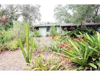 Ranch home with lush landscaping and mature plants at 2311 Roselawn Cir, Sarasota, FL 34231