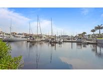 Tranquil marina view with many boats and yachts at 423 Bahia Beach Blvd, Ruskin, FL 33570