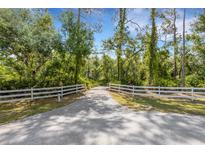 Long driveway leading to a home with white fence and lush trees at 14018 Pine Woods E Ln, Sarasota, FL 34240