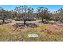 Large property with expansive front yard, mature trees, and driveway parking at 14204 Upper Manatee River Rd, Bradenton, FL 34212
