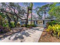 Charming home with a well-maintained lawn, mature trees, and a long driveway leading to the residence at 4062 S Shade Ave, Sarasota, FL 34231