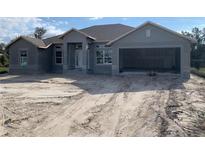 Modern single-story home with a spacious two-car garage in a lovely community at 507 San Ambrosio St, Punta Gorda, FL 33983