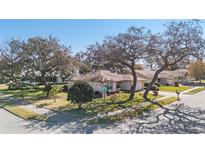 Aerial view of a residential neighborhood with single-Gathering homes and lush landscaping at 10810 Cedar Breaks Dr, Port Richey, FL 34668