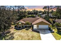 Inviting single-Gathering home with a well-manicured lawn, mature trees, and a spacious driveway leading to an attached two-car garage at 21217 Knollwood Ave, Port Charlotte, FL 33952