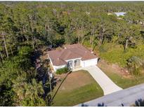 Single-story house with brown roof, driveway, and lush green surroundings at 13478 Carrie Ave, Port Charlotte, FL 33953