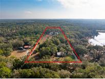 Expansive aerial view of a property featuring mature trees and a rural setting at 9094 Preston Rd, Brooksville, FL 34601