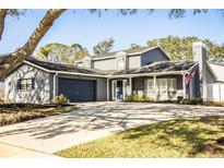 Gray two-story house with a blue door, attached garage, and manicured lawn at 4101 Dellbrook Dr, Tampa, FL 33624