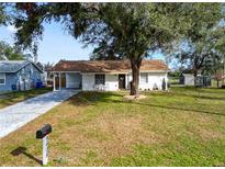 Charming single-story home with a lovely front yard and mature trees providing shade at 9608 Theresa Dr, Thonotosassa, FL 33592