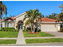 One-story home with tile roof, palm trees, and landscaped lawn at 824 Blue Crane Dr, Venice, FL 34285