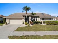 Tan house with palm trees, a large driveway, and well-maintained landscaping at 5003 Southern Pine Cir, Venice, FL 34293