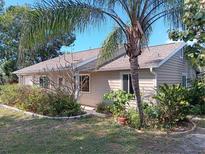 Tan house with landscaped yard and palm tree in partial view, under a clear blue sky at 601 E Seminole Dr, Venice, FL 34293