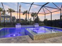 Stunning pool and spa with a covered lanai, perfect for relaxing outdoors at 14454 Little Eagle Loop, Nokomis, FL 34275