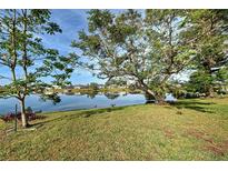 Scenic view of a peaceful lake with lush greenery and mature trees at 1723 N Gondola Ct, Venice, FL 34293