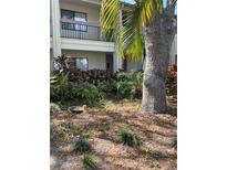 Building exterior with lush landscaping and palm trees at 772 Bird Bay N Dr # 102, Venice, FL 34285