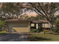 Charming single-story home with a well-manicured lawn, beautiful landscaping and an attached two-car garage at 9790 Parkwood Ct, Seminole, FL 33777