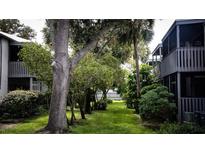 Beautiful green space with mature trees between condo buildings in Peppertree Village community at 11410 8Th N Way # 310, St Petersburg, FL 33716