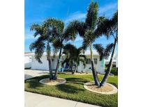 Landscaped front yard with mature palm trees and attractive curb appeal at 9743 36Th N Way # 4, Pinellas Park, FL 33782