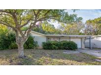 Ranch-style home with carport and mature landscaping at 4137 Glissade Dr, New Port Richey, FL 34652