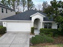 One-story house with a two-car garage and well-manicured landscaping at 4311 Rustic Pine Pl, Wesley Chapel, FL 33544