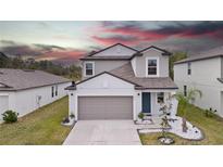 Two-story house with gray siding, gray roof, and a two-car garage at 13327 Willow Bluestar Loop, Riverview, FL 33579