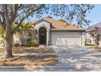 Charming single-Gathering home with an attached garage, manicured lawn, and mature landscaping at 12417 Adventure Dr, Riverview, FL 33579