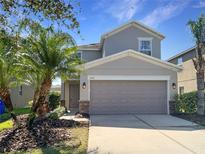 Charming two-story home with a well-manicured lawn and a two-car garage, enhanced by beautiful landscaping at 2313 Richwood Pike Dr, Ruskin, FL 33570