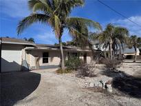 Ranch-style home with palm trees and a gravel driveway at 10436 Raymond St, Englewood, FL 34224