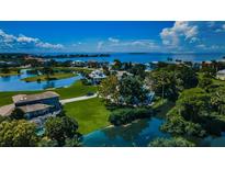Luxury waterfront community with expansive homes and lush landscaping at 2105 Sandpiper Pointe Ct, Tarpon Springs, FL 34689