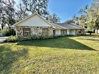 Ranch style home with stone facade, spacious lawn, and mature trees at 1501 Buell Ct, Plant City, FL 33567
