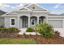 Gray house with two-car garage, walkway, and landscaping at 6257 Hidden Branch Dr, Apollo Beach, FL 33572