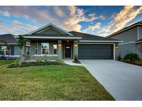 One-story home with gray siding, dark gray garage door, and landscaped lawn at 16115 69Th Lane E Pl, Parrish, FL 34219