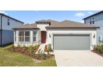 Beautiful one-story home with a well-manicured lawn, two-car garage, and neutral paint scheme at 20761 Balsam Hill Rd, Land O Lakes, FL 34638