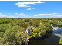 Aerial view of a modern two-story house near a lake at 321 W Hanlon St, Tampa, FL 33604