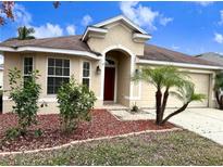 One-story house with red mulch and palm trees at 10718 Standing Stone Dr, Wimauma, FL 33598