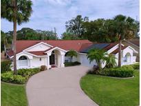 Charming single-story home with a lush lawn, mature palm trees, and a circular driveway at 2831 Jarvis Cir, Palm Harbor, FL 34683