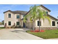 Two-story house with stone accents and palm trees at 13802 Felix Will Rd, Riverview, FL 33579