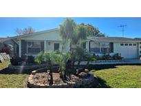 Light green house with landscaped yard, palm trees, and a one car garage at 3512 Hoover Dr, Holiday, FL 34691