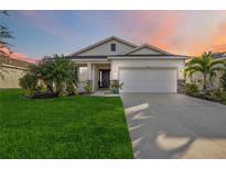 One-story home with a white exterior, landscaped lawn, and a two-car garage at 3948 Mossy Limb Ct, Palmetto, FL 34221