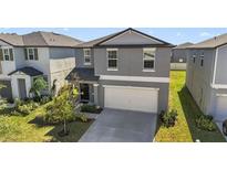 Two-story house with gray siding, white garage door, and landscaping at 9917 Spanish Lime Ct, Riverview, FL 33578