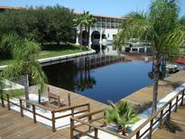 Relaxing waterfront view with dock and lush tropical landscaping at 2571 Cyprus Dr # 1-202, Palm Harbor, FL 34684